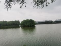 -洋湖国家湿地公园