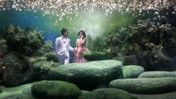 点击看大图 android_upload_pic-金海岸婚纱摄影(塘沽店)