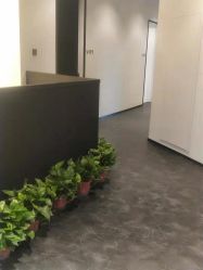 -素妍印象Ekrin Medi Clinic