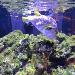 -Zoolung Zoolung动物主题公园(海信广场店)