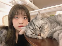 -猫友咖啡店(玉林西路店)
