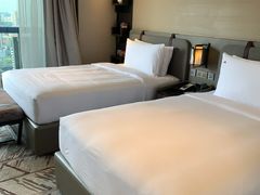 -新加坡瑞士史丹福酒店