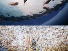 -欢乐海岸海洋奇梦馆