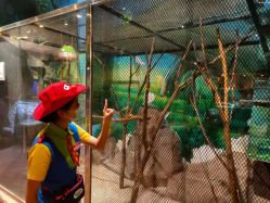 -宝燕乐园(闵行旗舰店)