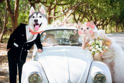 -太郎花子婚纱摄影艺术中心