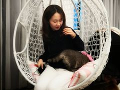 -浣熊柯尔鸭土拨鼠·电玩咖