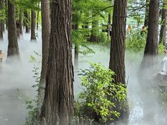 -东湖落雁景区