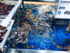 -盒马鲜生(枣园路店)