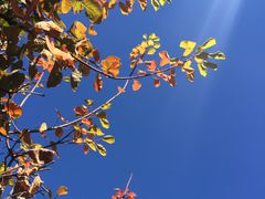 -香山公园-东宫门售票处