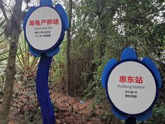 -广东惠东海龟国家级自然保护区