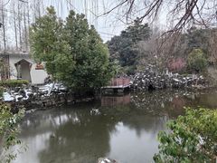 -郑和公园