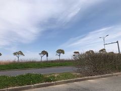 -南汇嘴观海公园