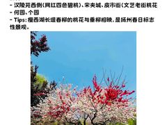 -大潮淮·淮扬菜(何园旗舰店)