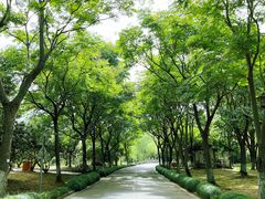 -绍兴镜湖国家城市湿地公园
