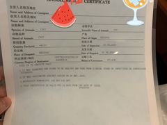-北京观赏动物医院·24小时大型综合·猫专科·异宠专科