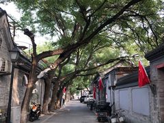 -丽江庭院·云南野生菌·海鲜火锅(鼓楼四合院店)