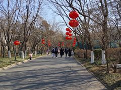 -千佛山风景名胜区