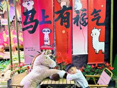 -正佳雨林生态植物园