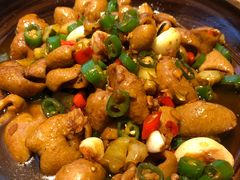 土钵肥肠-井水小厨·湘菜(活力广场店)