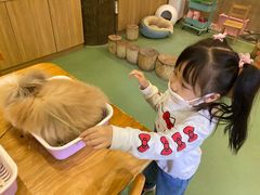 -藦茜花园宠物主题亲子互动体验馆(国顺东路店)