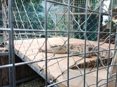 -呀路古热带植物园