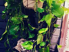 -味在小龙老火锅(都江堰店)