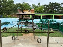 -西霞口神雕山野生动物世界