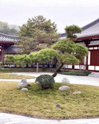 -御宴宫·宴会厅