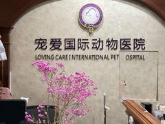 -宠爱国际动物医院· 猫科· 外科·中兽医(长白店)