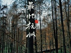 -青山湖景区