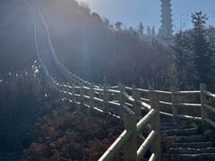 -冶父山国家森林公园