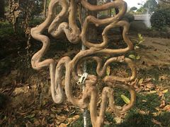 -武汉紫薇都市田园