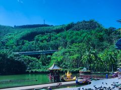 -西双版纳原始森林公园