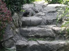 -静安公园(静安寺街道)