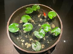 -曲水兰亭(北京四惠店)