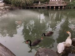 -天毓山庄·餐厅