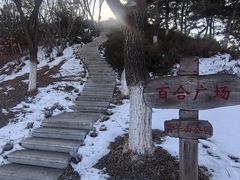 -莫子山公园