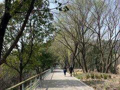 -西湖风景区-江洋畈生态公园