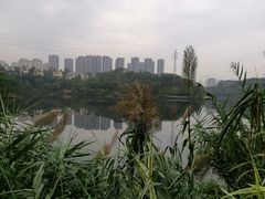 -重庆彩云湖湿地公园