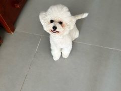 -美联众合动物医院·24h转诊中心