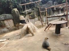 -杭州野生动物世界