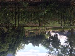 华东疗养院-上海市保健医疗中心(华东疗养院)
