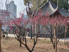 -长春观