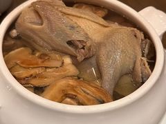 松茸菌炖野生水鸭-广州富力君悦大酒店空中花园