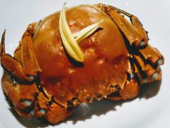 大闸蟹-蟹榭(静安寺晶品商场店)