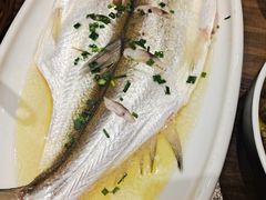 清蒸白鱼-锡和无锡菜(景丽苑店)