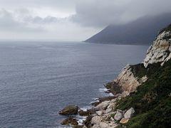 -鹿嘴山庄