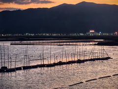 -北岐滩涂