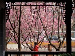 -望江楼公园