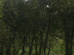 -天津工业大学(河东校区)